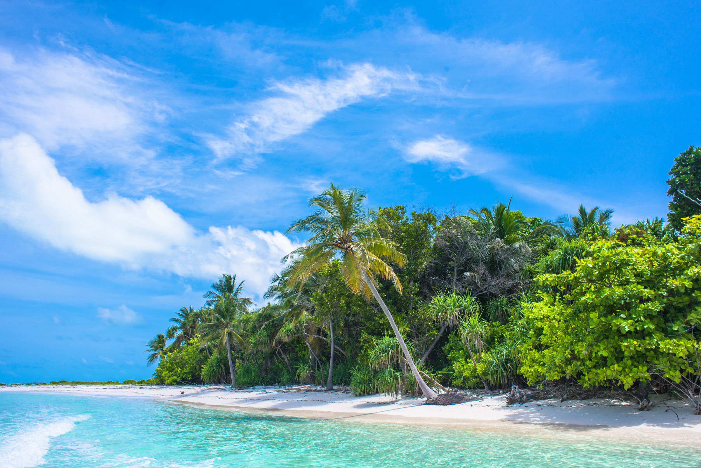 Tropical ocean beach with turquoise water and palm trees